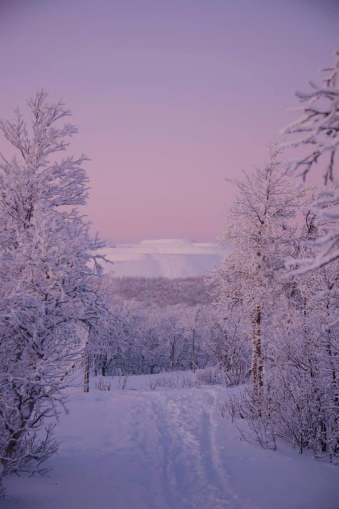 Walking in a Snow Globe in Sweden - Frozen Forests