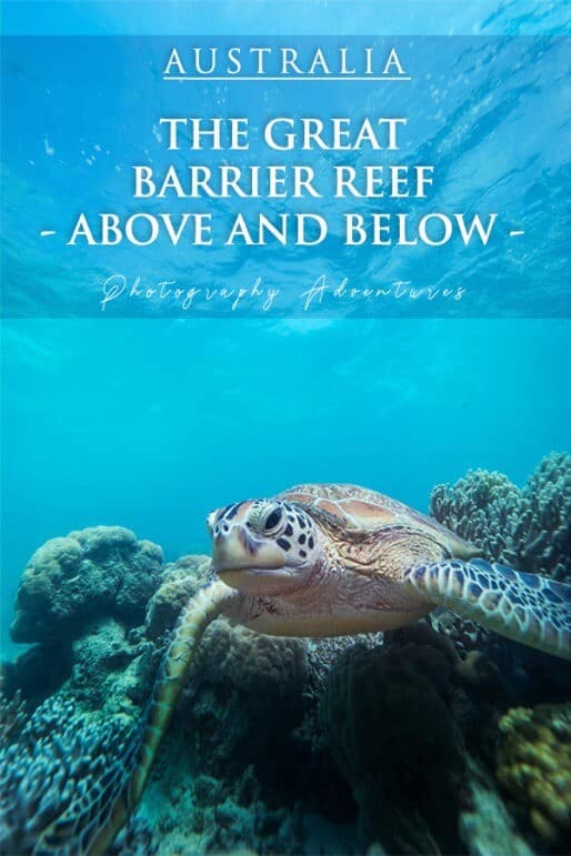 The Great Barrier Reef - Above + Below - Cairns Day Trips