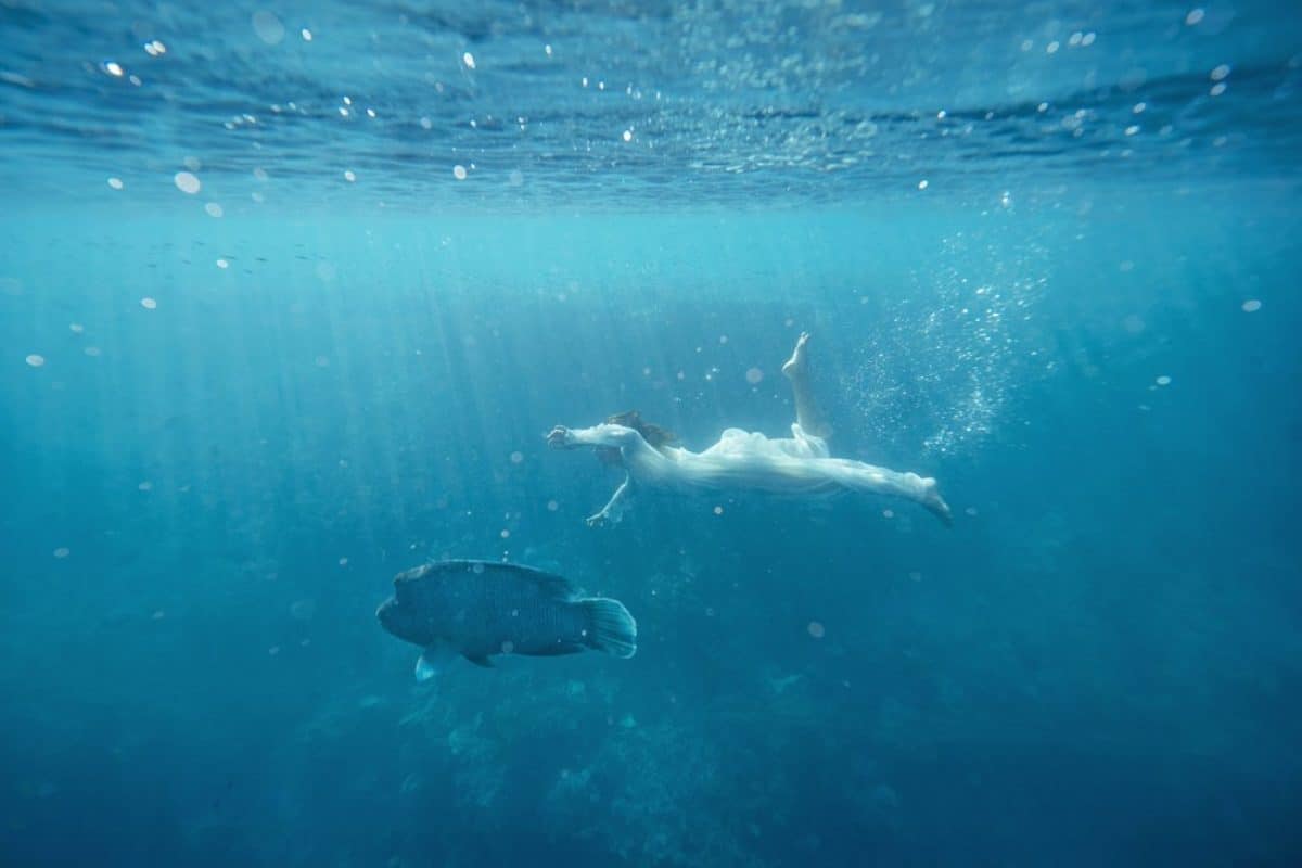 Underwater Photography - Great Barrier Reef, Australia